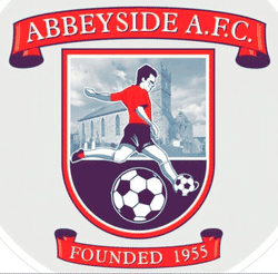 Abbeyside AFC Youths - Waterford District Junior League Youth B team badge