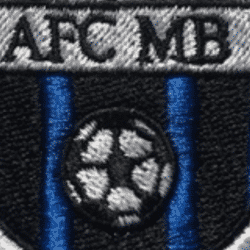 AFC Market Bosworth team badge