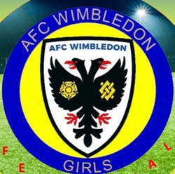 AFC Wimbledon Girls U14 Blues team badge
