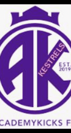 AK Kestrels U12 team badge