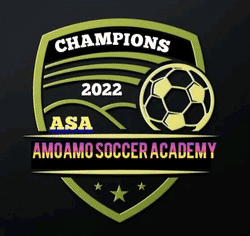 AMOAMO SOCCER ACADEMY team badge