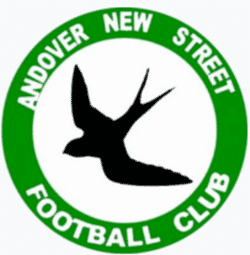 Andover New Street - Division One team badge