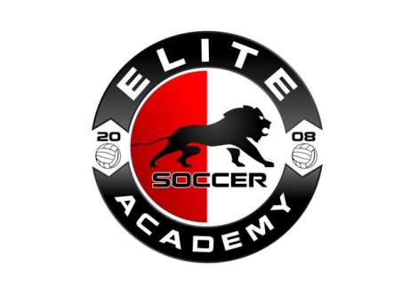 ANESA Elite Soccer Academy team badge