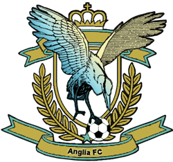 Anglia FC - Division 1 team badge