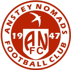 Anstey Nomads Swifts - Southern Division team badge