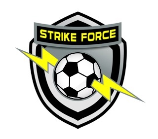 ASMSF Miami Strike Force team badge