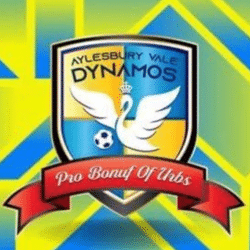 Aylesbury Vale Dynamos 1 team badge