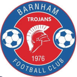 Barnham Trojans Ladies - SCWGFL Open Age Division 1 team badge