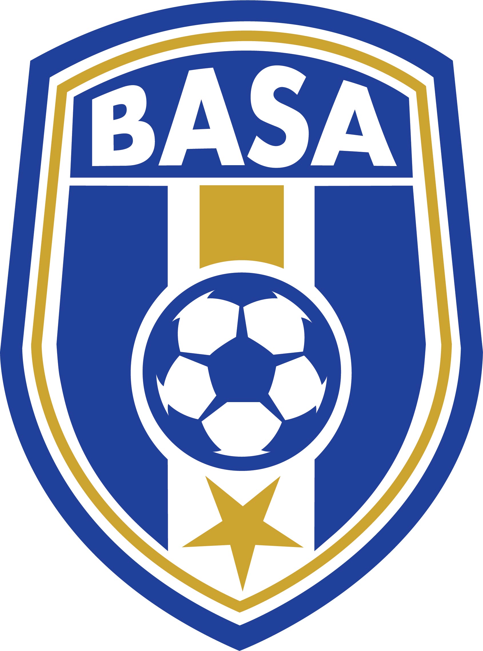 Bay Area SA team badge