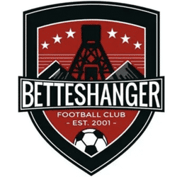 Betteshanger U13's Vipers team badge