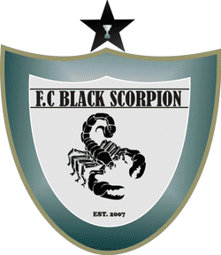 BLACK SCORPION FC team badge