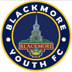 Blackmore Youth U11 Green team badge