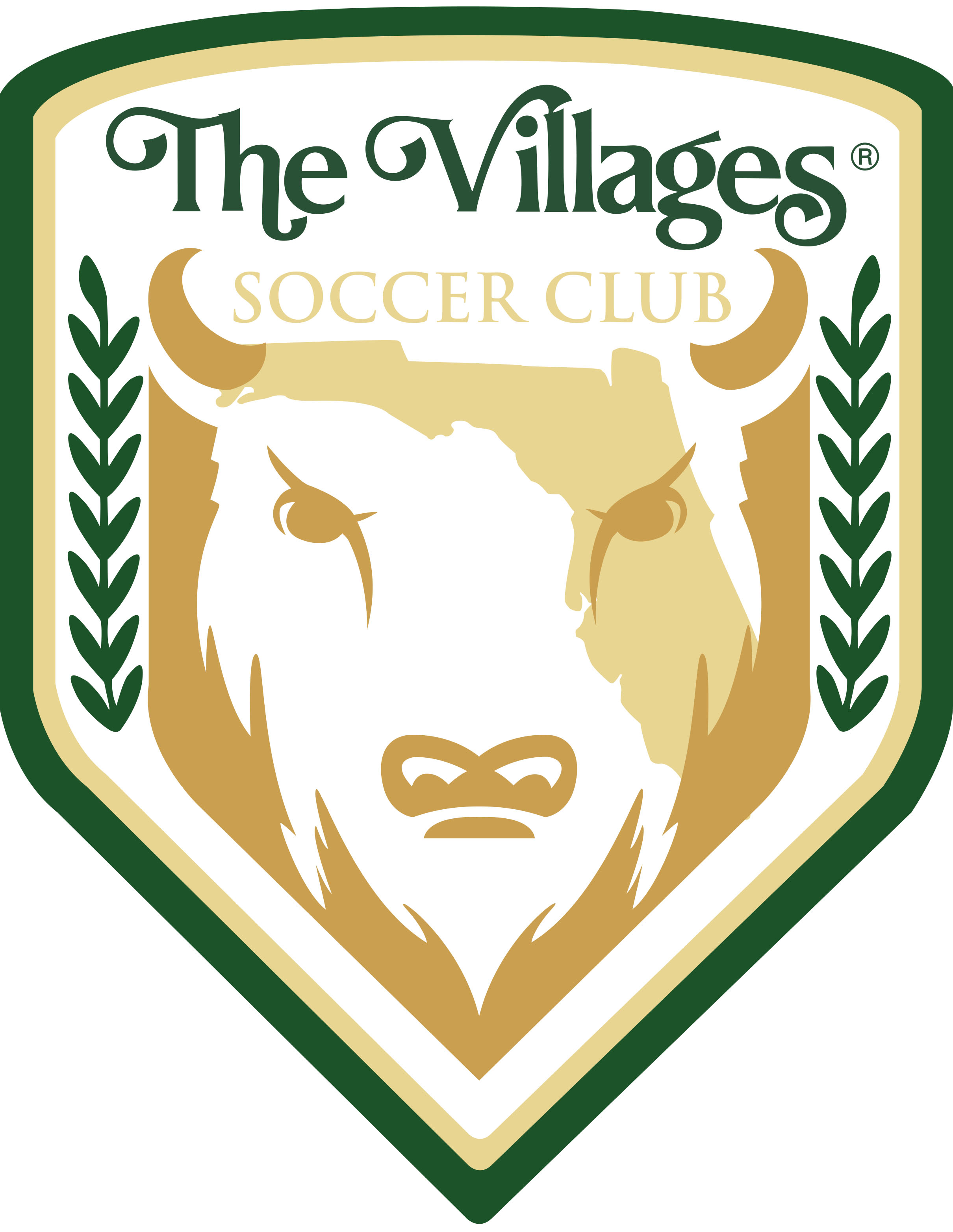 BNVIL Villages Soccer Club team badge