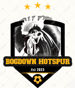 Bogdown Hotspur FC team badge