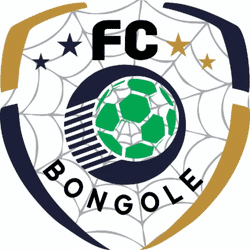 Bongole Spiders FC team badge