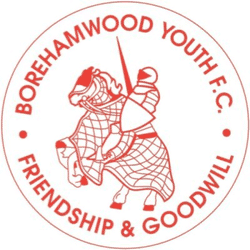Borehamwood Youth Crusaders U7s team badge