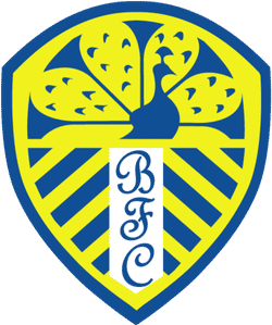 Bottesford FC U7s Blue team badge