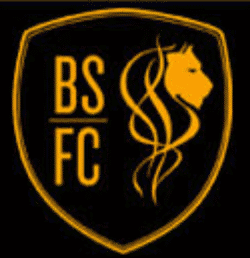 Bournemouth Sports Reserves - Division 1 team badge