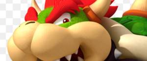 Bowser .
