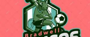 Bradwell Broncos