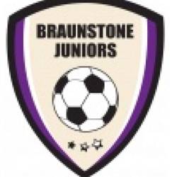 Braunstone Juniors U8 team badge