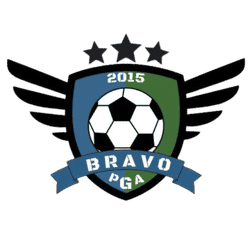 BRAVO FT team badge