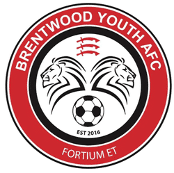 Brentwood Youth AFC U12 Tigers team badge