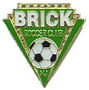 Brick Township SA team badge