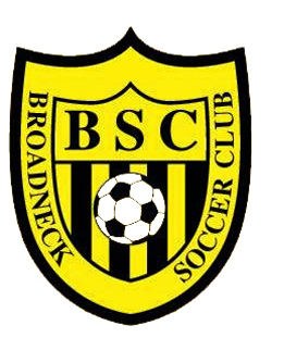 Broadneck Soccer Club team badge