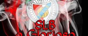 Bruno Lapa