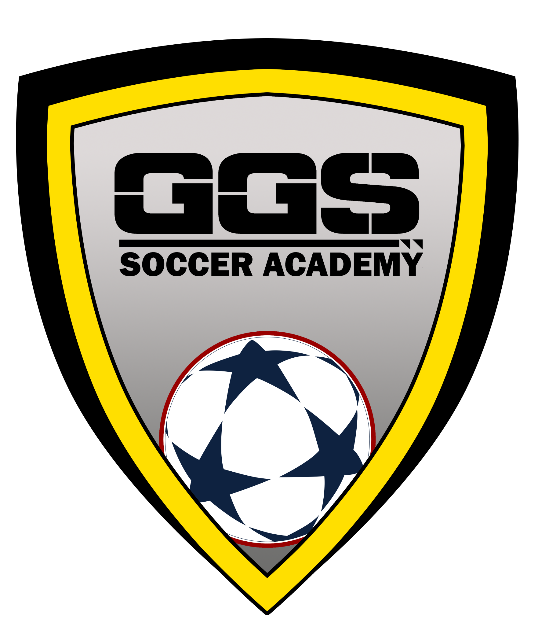 BSGGS Golden Goal Sports Soccer Academy 20/21 team badge