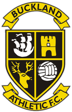 Buckland Athletic Blacks team badge