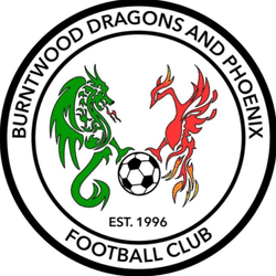 Burntwood Dragons Lions U7’s team badge