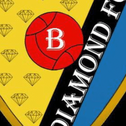 Burumba Diamond Sc team badge