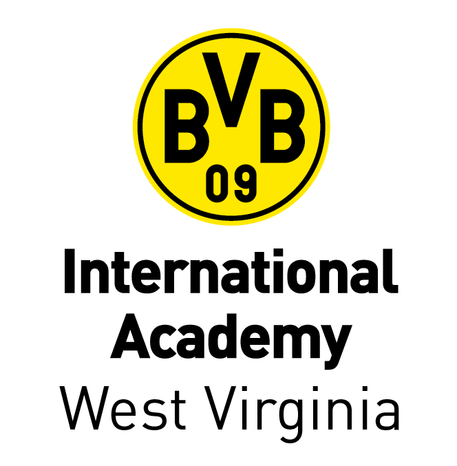 BVBIA WV team badge