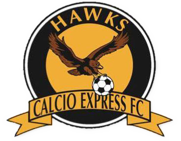 Calcio Express Hawks FC team badge