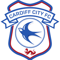 Cardiff 25/26 Pre Season team badge