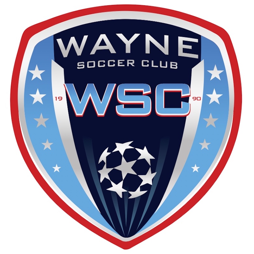 Cedar Stars Academy Wayne team badge