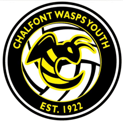 Chalfont Wasps U13’s team badge
