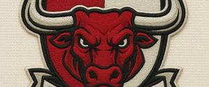 Cherrybrook Raging Bulls
