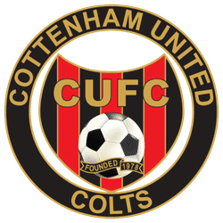 Cottenham United Colts U8 Black team badge