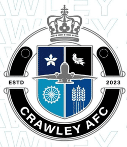 Crawley AFC - Under 12 Division Three team badge