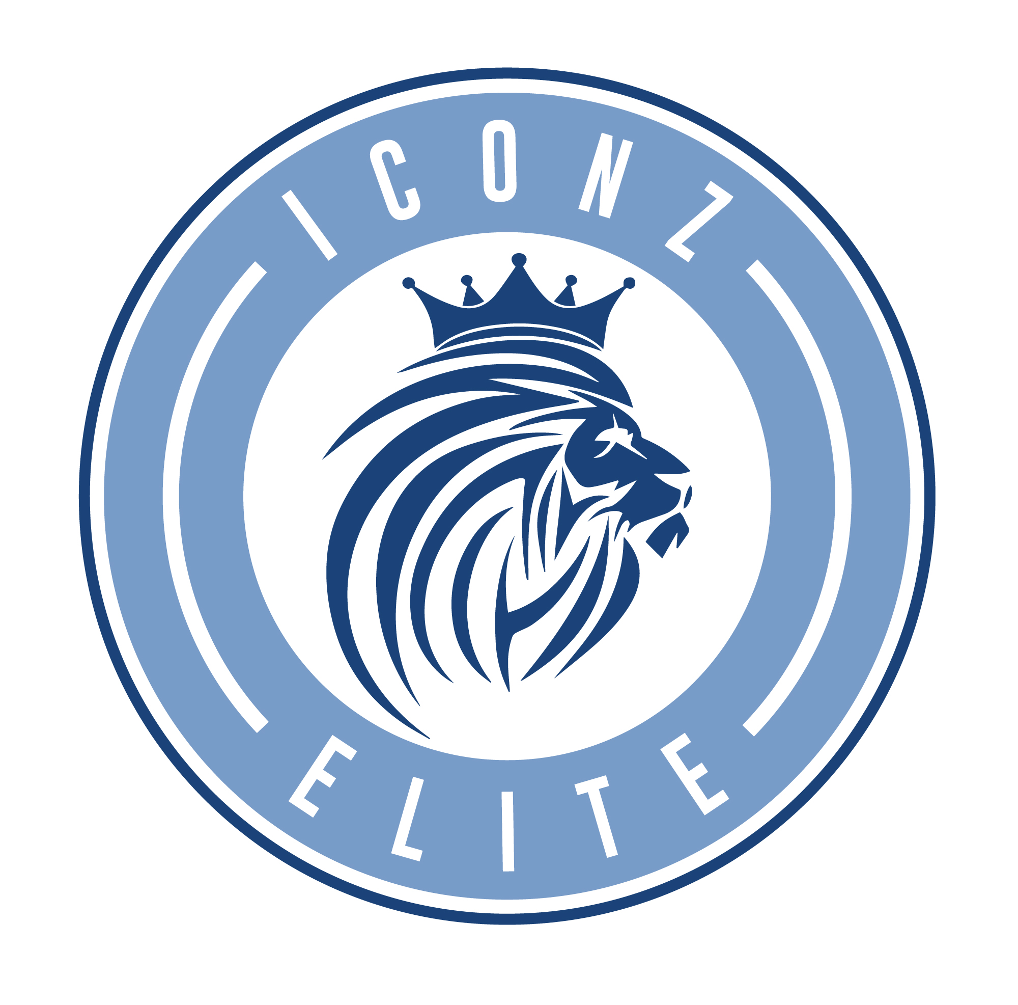 CSQIE Iconz Experience 20/21 team badge