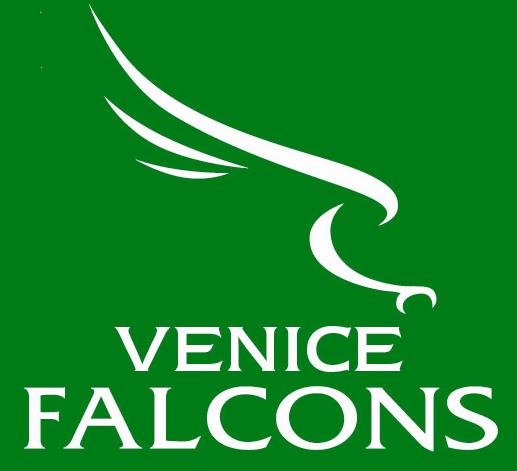 CSVYS Venice Area YSA team badge