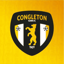CTFC Yellows U11's team badge