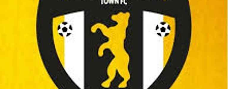 CTFC Yellows U11's team photo