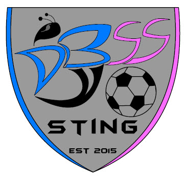 DBSS Sting SC team badge
