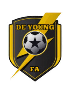 DE YOUNG FOOTBALL ACADEMY team badge