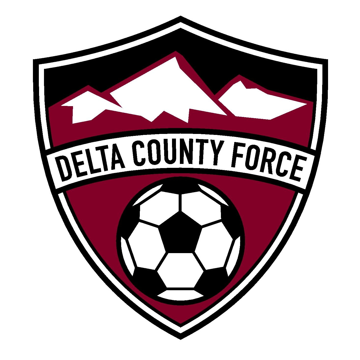 Delta County YSA team badge