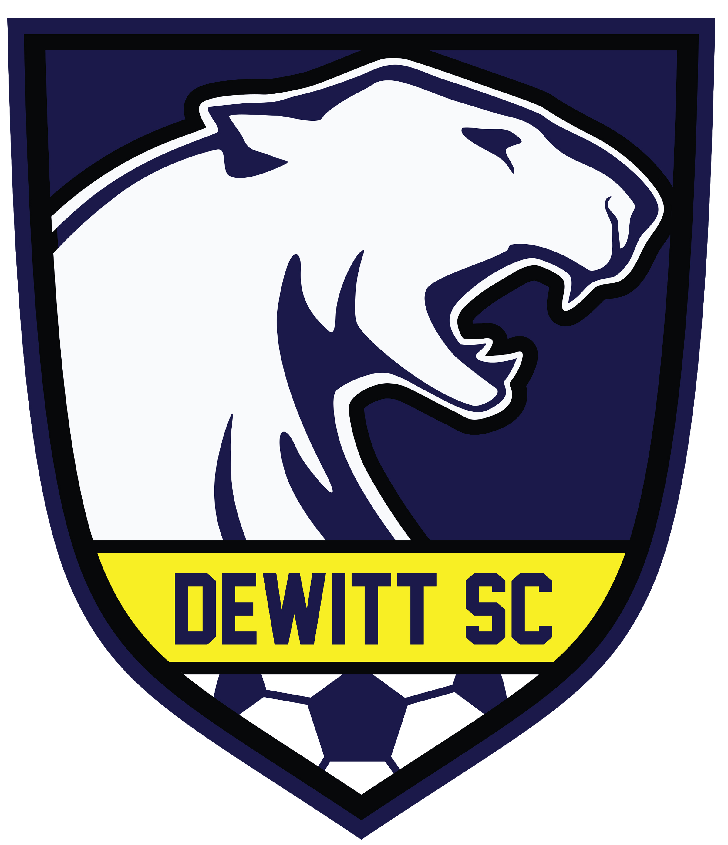 Dewitt Soccer Club team badge